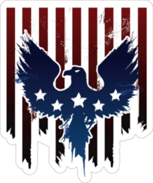 Grunge American Eagle Sticker