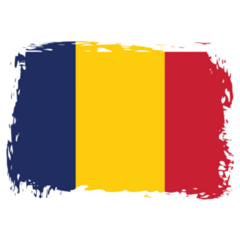 Grunge Chad Brushed Flag Sticker