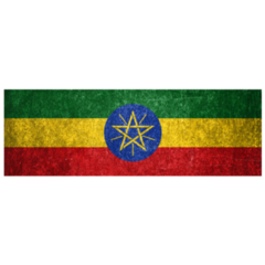 Grunge Ethiopia Sticker