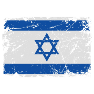 Grunge Flag Of Israel Sticker