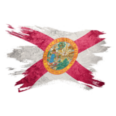 Grunge Florida State Flag Sticker