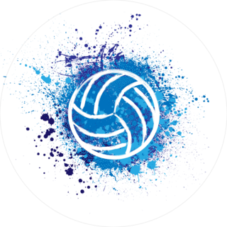 Grunge Volleyball Splatter Sticker