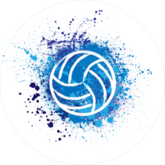 Grunge Volleyball Splatter Sticker