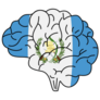 Guatemala Flag Brain Sticker