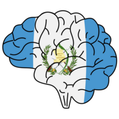Guatemala Flag Brain Sticker