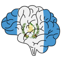 Guatemala Flag Brain Sticker