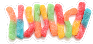 Gummy Worms Side By Side Sticker