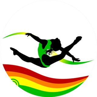 Gymnast Performs A Complicated Jump Sticker