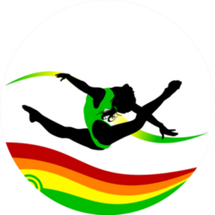 Gymnast Performs A Complicated Jump Sticker