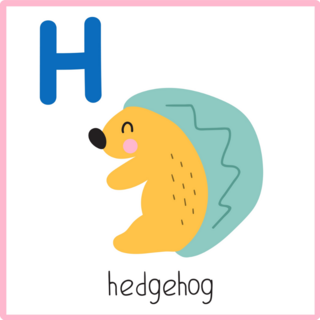 H Hedgehog Square Sticker
