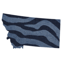 h Zebra Print. State Montana Sticker