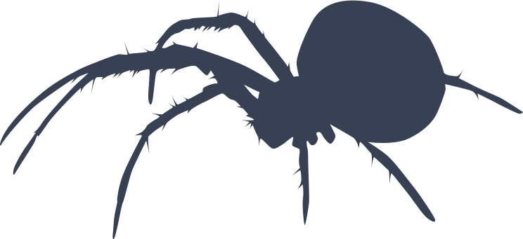 Hairy Legged Spider Sticker