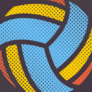 Halftone Volleyball Pattern Sticker