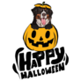 Halloween Berner Sticker