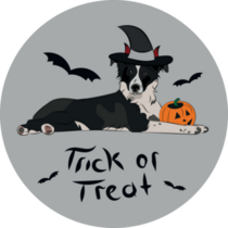 Halloween Border Collie Sticker