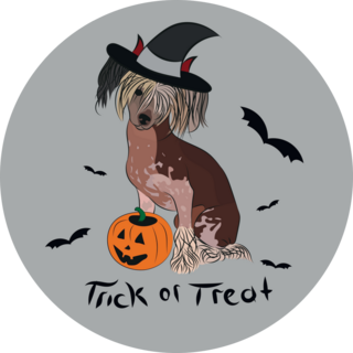 Halloween Chinese Crested Sticker