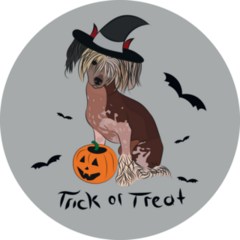 Halloween Chinese Crested Sticker