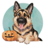 Halloween German Shepherd Sticker