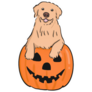 Halloween Golden Retriever Sticker
