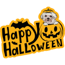 Halloween Maltese Sticker