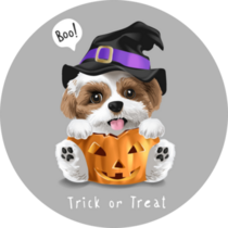 Halloween Shih Tzu Sticker