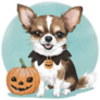 Halloween Theme Chihuahua Sticker