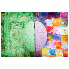 Halves Of The Brain Creative Vs Analytical Painting Sticker