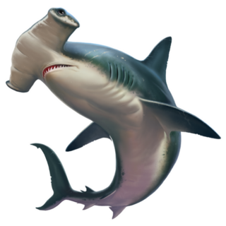 Hammerhead Shark Sticker