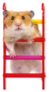 Hamster On The Toy Stairs Sticker