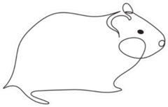Hamster One Line Drawing Sticker