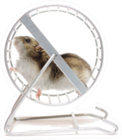 Hamster Pet In A Wheel Sticker