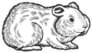 Hamster Rodent Pet Animal Sketch Sticker
