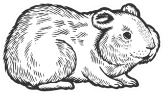 Hamster Rodent Pet Animal Sketch Sticker