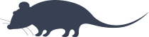 Hamster Sticker