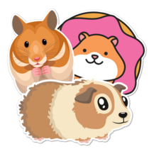 Hamster Thumbnail