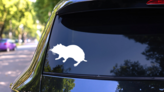 Hamster With Whiskers Sticker on a Rear Car Window (New) example