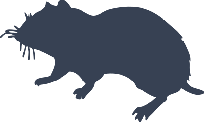 Hamster With Whiskers Sticker