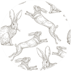 Hand Drawing Pattern With Rabbits Vintage Sticker
