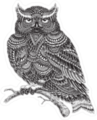 Hand Drawn Abstract Pattern Owl Illustration Sticker