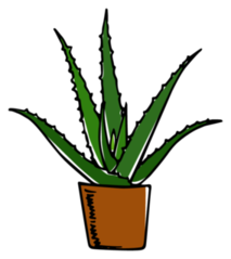 Hand Drawn Aloe Vera In A Pot Sticker