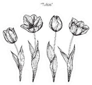 Hand Drawn And Sketch Tulips Flowers Sticker
