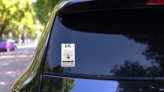 Hand Drawn Bear Saying Hello Sticker on a Rear Car Window (New) example