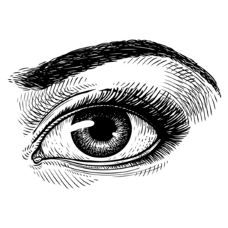 Hand-drawn Beautiful Female Eye Sketch Sticker