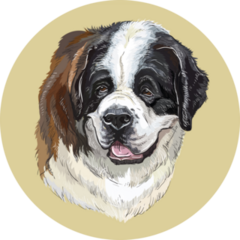 Hand Drawn Bernard Sticker