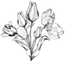 Hand Drawn Black And White Bouquet Of Tulips Sticker