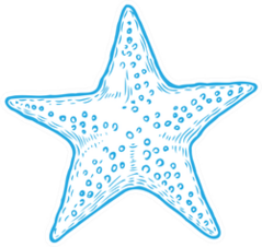 Hand Drawn Blue Marine Starfish Sticker