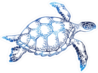 Hand Drawn Blue Turtle Sticker