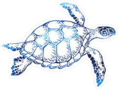 Hand Drawn Blue Turtle Sticker