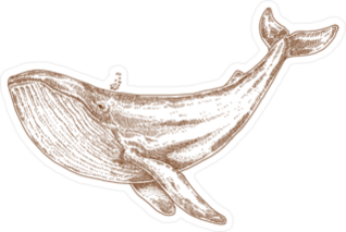 Hand Drawn Blue Whale Illustration Sticker