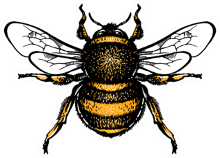 Hand Drawn Bumblebee Sticker